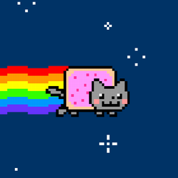 słynny Nyan Cat;