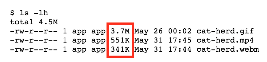 Perbandingan ukuran file yang menunjukkan 3,7 MB untuk gif, 551 KB untuk mp4, dan 341 KB untuk webm.