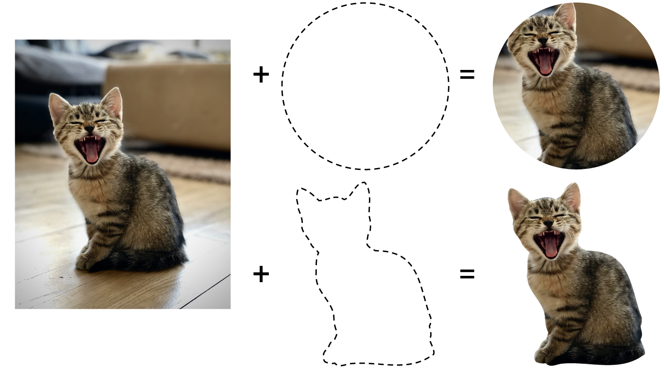 Voici comment le rognage peut affecter une image en particulier : dans cette image, une photo de chaton est rognée en forme de cercle et en forme de tracé de rognage complexe qui décrit le chaton dans son intégralité.